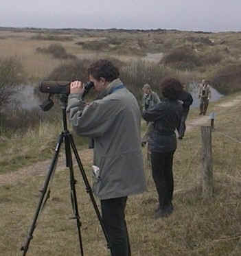 Excursie van de vogelaar nieuwsgroep op Texel 2002