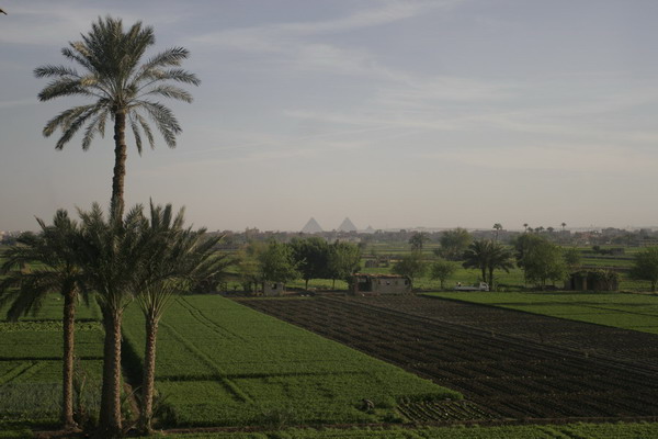 (c) 2006 jcdv - de Piramides vanuit Cairo.