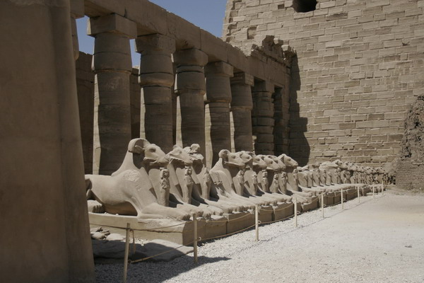 (c) 2006 jcdv - Sfinxen in Karnak.