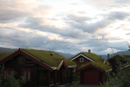Huisje bedekt met gras. Iets wat je vaak ziet in Noorwegen.