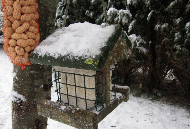 2010 vogelvoer, vogelhokje met voederblok met insecten.