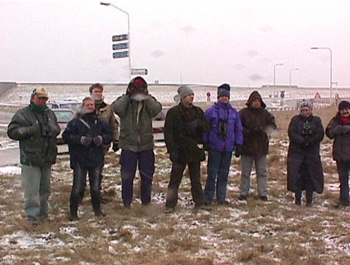 2003 Zeeland excursie vogelaar nieuwsgroep