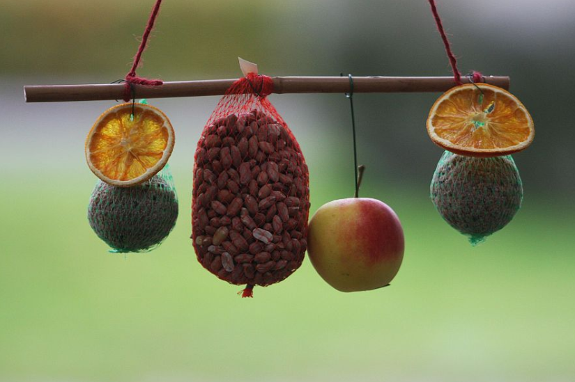 Vogelvoer van de VAKO.