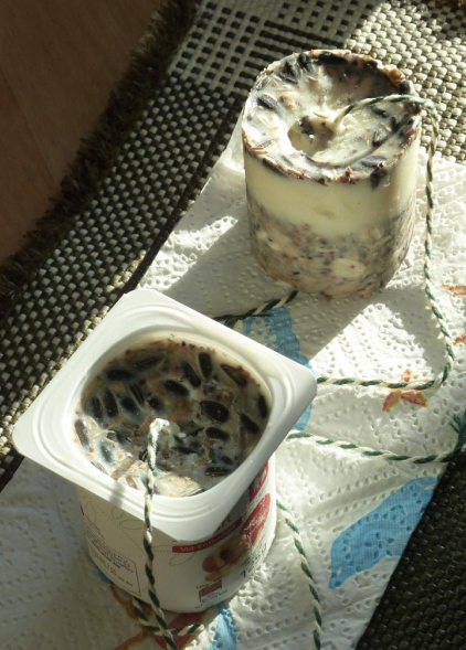 Zelfgemaakt vogelvoer