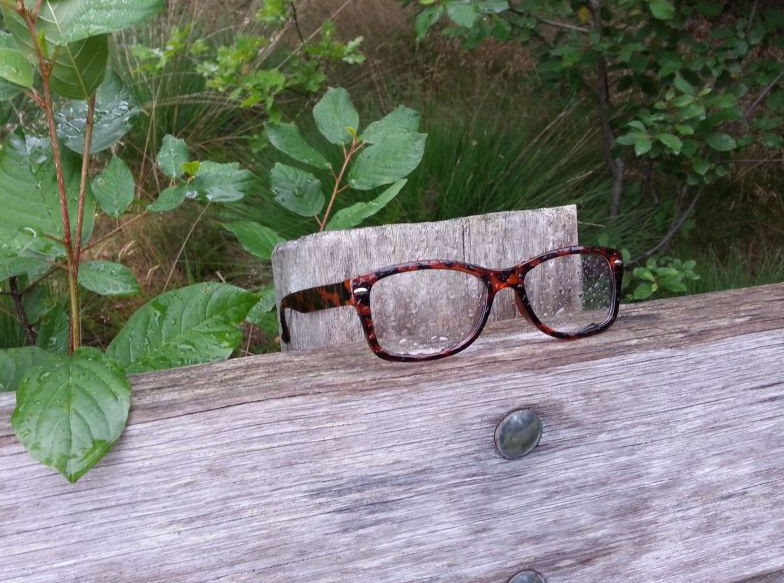 Lemelerberg en omstreken