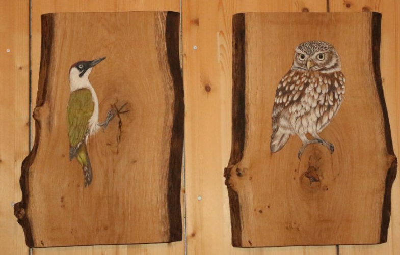 Steenuil en Groene Specht geschilderd op hout