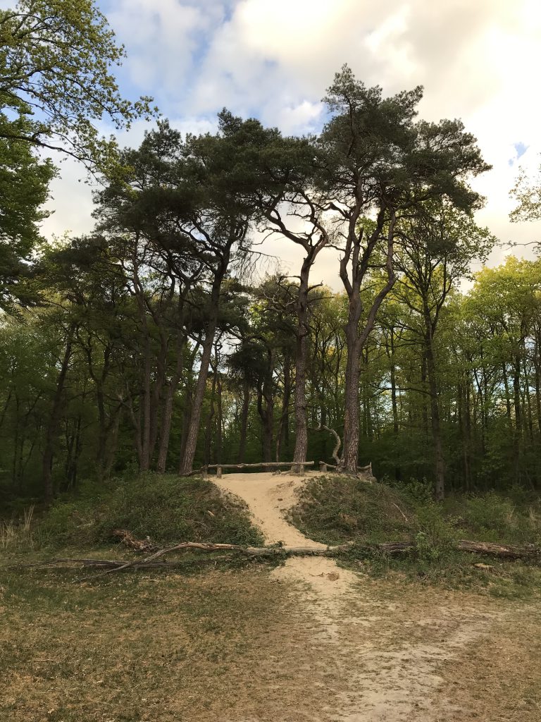 Noordlaarderbos Galgenbergje