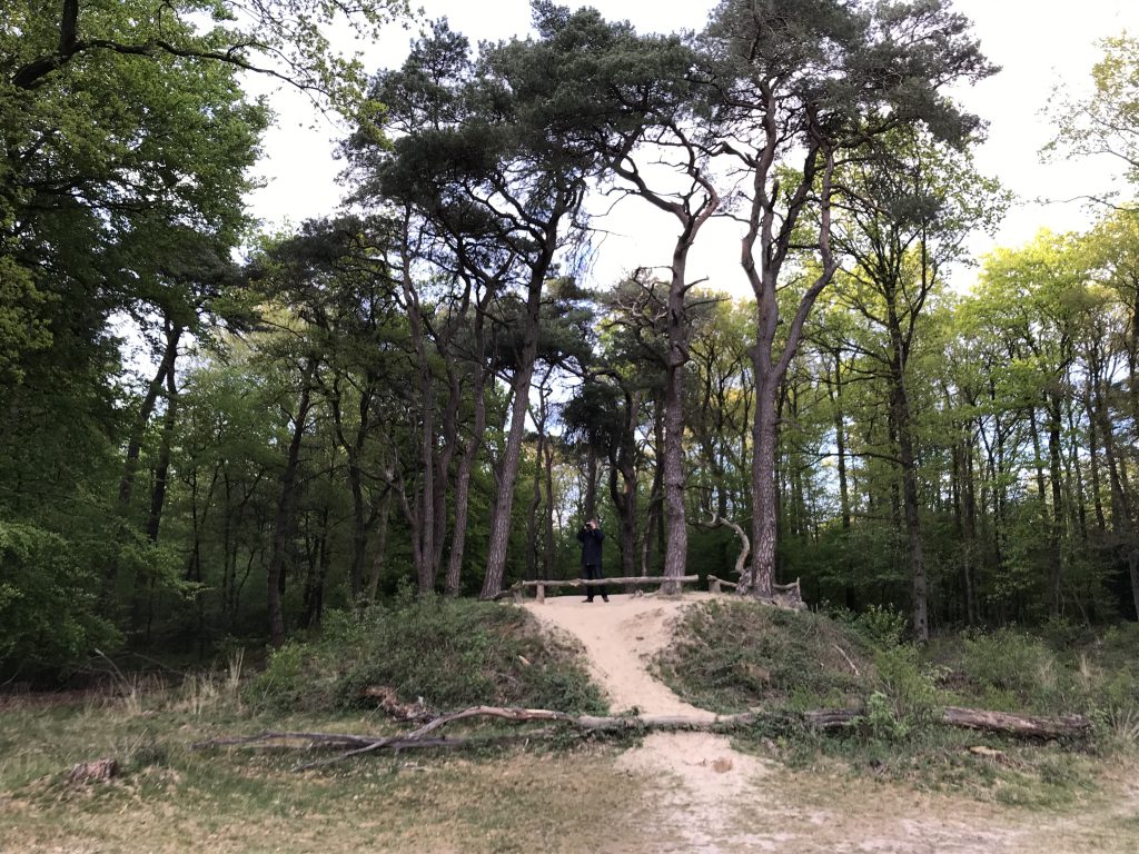 Noordlaarderbos Galgenbergje